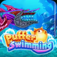 Puffer Swimming — OroPlay Argentina